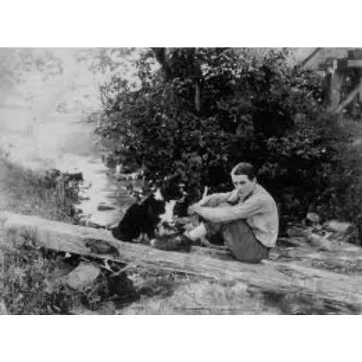 Tol'able David (1921) Rare Classic Silent Drama DVD