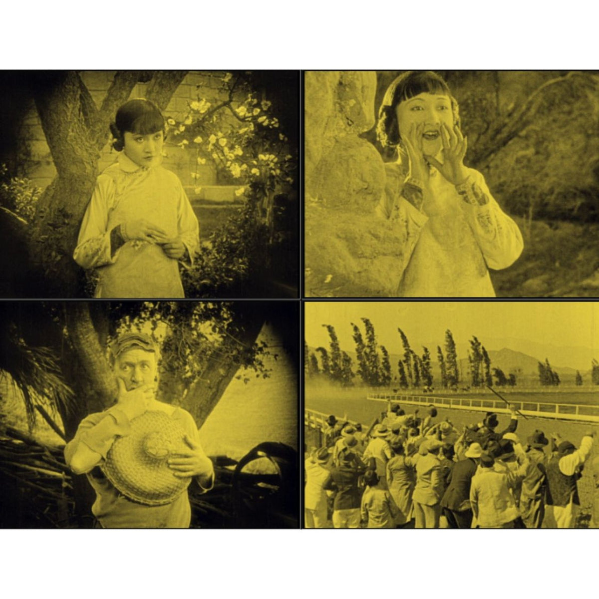 Drifting 1923 Classic Silent Drama Starring Priscilla Dean on DVD
