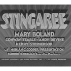 Stingaree 1934 Richard Dix Irene Dunne Classic Adventure Romance Collectors DVD