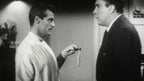 D.O.A. 1950 Film Noir Crime Thriller DVD – Classic Suspense Public Domain
