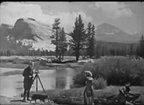 Tiger Rose 1929 Pre Code Adventure Romance Drama Film DVD