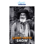 The Gabby Hayes Show 1950 Classic TV DVD – 14 Episodes – Rare Western Comedy