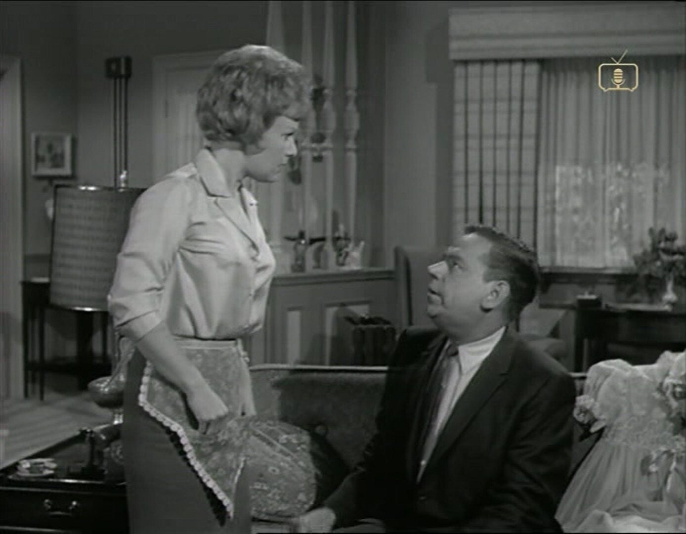The Tom Ewell Show (1960) Classic TV 27 Episodes on DVD - Collectors Edition