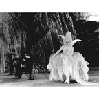 The White Moth (1924) Silent Drama DVD Collector Edition