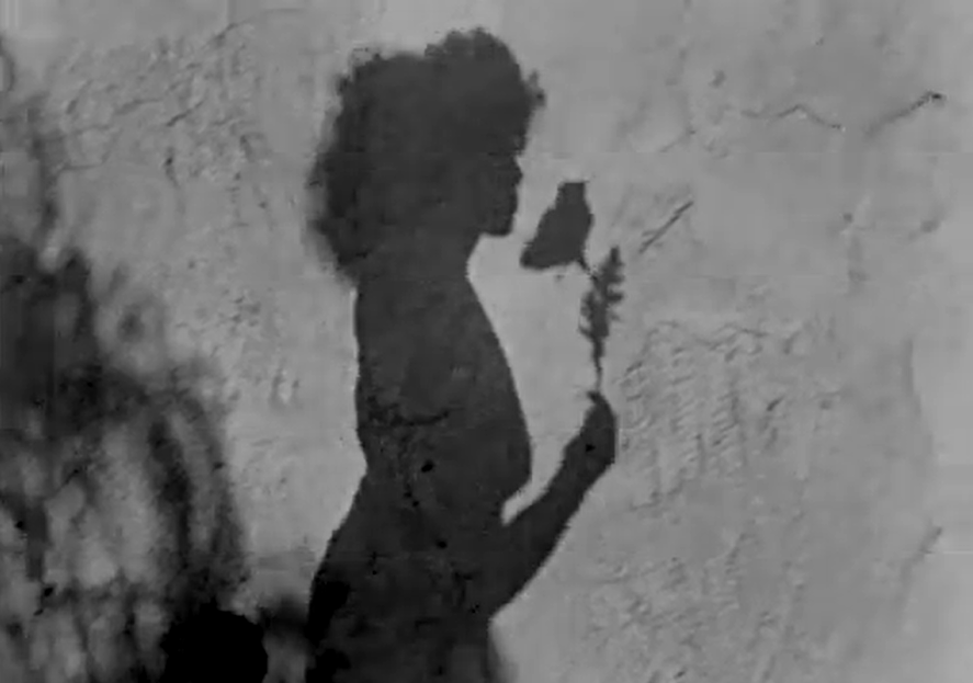 Meshes of the Afternoon (1943) Experimental Fantasy Short DVD Collector Edition
