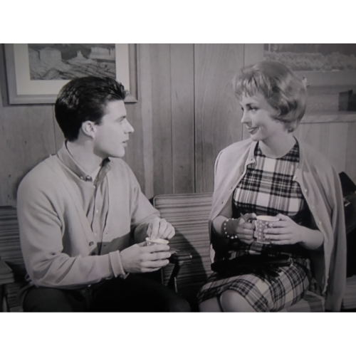 The Adventures Of Ozzie And Harriet (1952–1966) – 435 Episodes On USB Rare