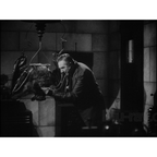 The Devil Bat (1940) Horror Sci-Fi DVD Collector Edition
