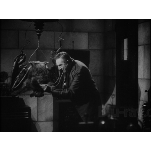 The Devil Bat (1940) Horror Sci-Fi DVD Collector Edition