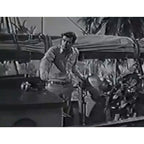 Adventures in Paradise 1959 Classic TV Series 41 Episodes DVD With Cover Art