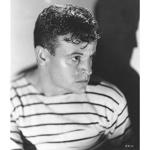 The Big Chance (1933) Pre-Code Crime Drama DVD Collector Edition