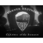 Lady Windermere's Fan (1925) Silent Comedy Drama DVD Collector Edition