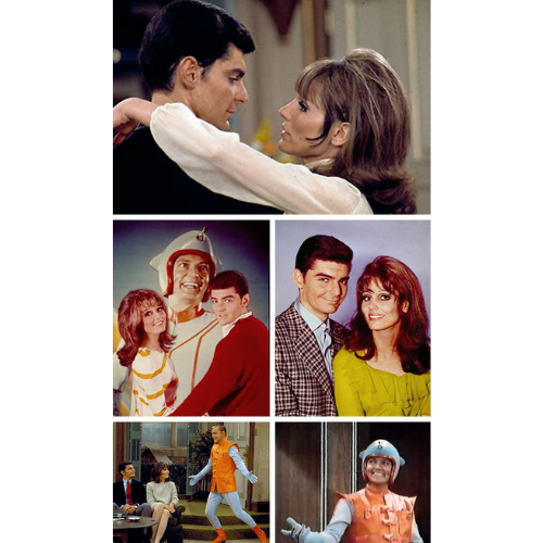 He & She 1967 TV Series DVD – 24 Episodes – Classic Comedy Richard Benjamin