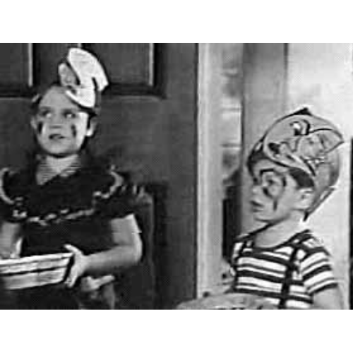 The Adventures Of Ozzie And Harriet (1952–1966) – 435 Episodes On USB Rare