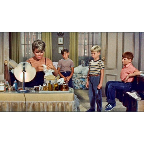 Please Don't Eat the Daisies (1965) Classic Family Comedy TV DVD – 38 Episodes