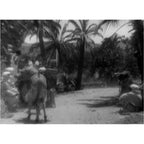 Morocco (1930) Pre-Code Romantic Drama DVD Collector Edition