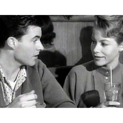 The Adventures Of Ozzie And Harriet (1952–1966) – 435 Episodes On USB Rare