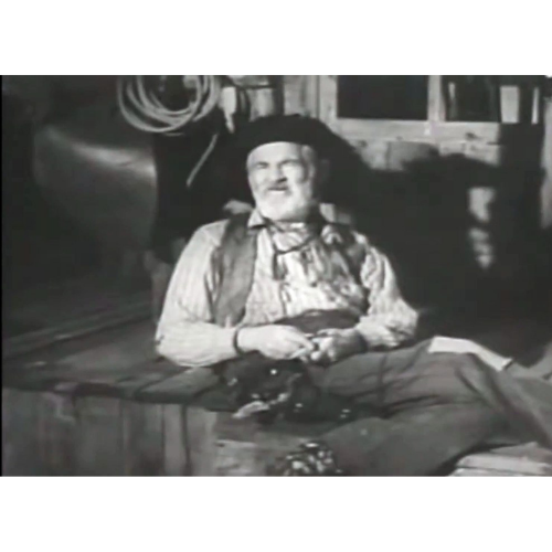 The Gabby Hayes Show 1950 Classic TV DVD – 14 Episodes – Rare Western Comedy