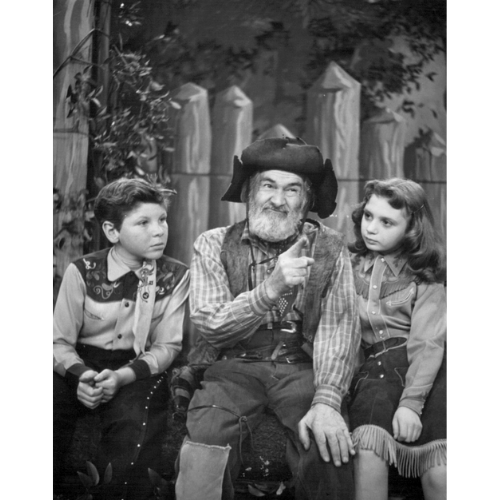 The Gabby Hayes Show 1950 Classic TV DVD – 14 Episodes – Rare Western Comedy