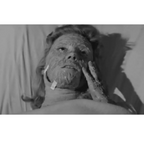 The Unearthly 1957 Rare Sci Fi Horror DVD Cult Classic Film