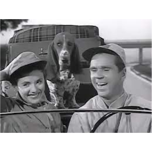 The People's Choice (1955) Vintage Comedy TV USB – 36 Episodes