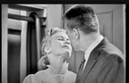 My Favorite Husband (1953–1955) Rare Classic TV Series DVD – 3 Episodes