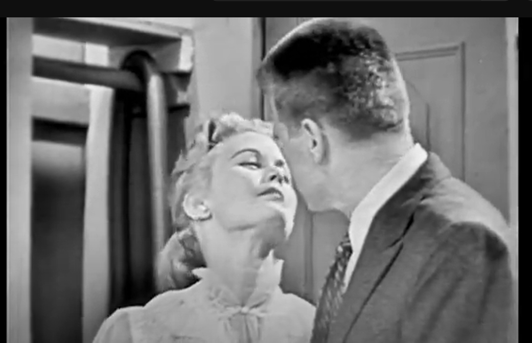 My Favorite Husband (1953–1955) Rare Classic TV Series DVD – 3 Episodes