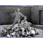 Convict 13 (1920) Buster Keaton Silent Comedy Short DVD Collector Edition