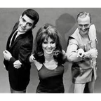 He & She 1967 TV Series DVD – 24 Episodes – Classic Comedy Richard Benjamin