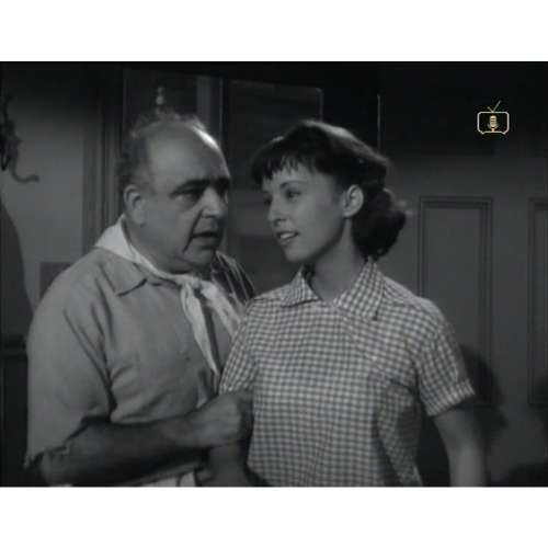 The DuPont Show with June Allyson 1959 Classic TV USB – 35 Episodes – Rare Drama