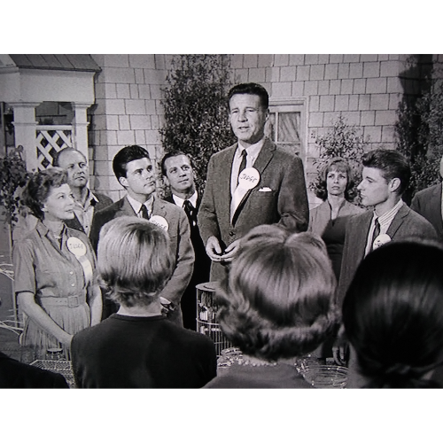 The Adventures Of Ozzie And Harriet (1952–1966) – 435 Episodes On USB Rare