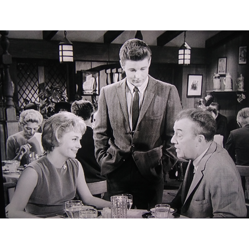 The Adventures Of Ozzie And Harriet (1952–1966) – 435 Episodes On USB Rare