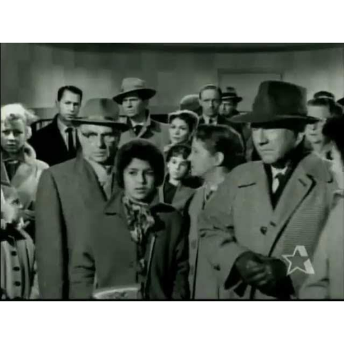 The Lone Wolf 1954 Classic TV DVD 39 Episodes Crime Mystery Series