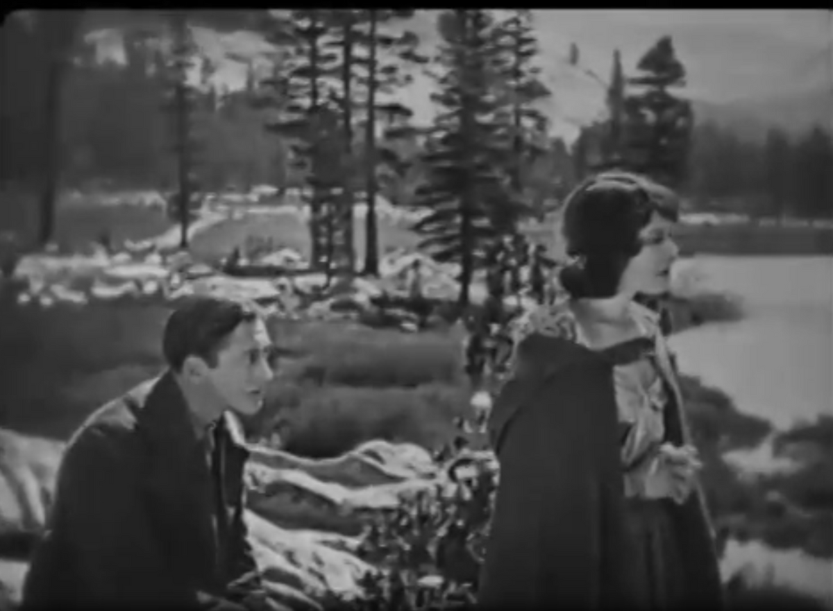 Tiger Rose 1929 Pre Code Adventure Romance Drama Film DVD