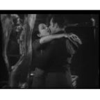 The Wind 1928 Lillian Gish Silent Drama Classic Film DVD