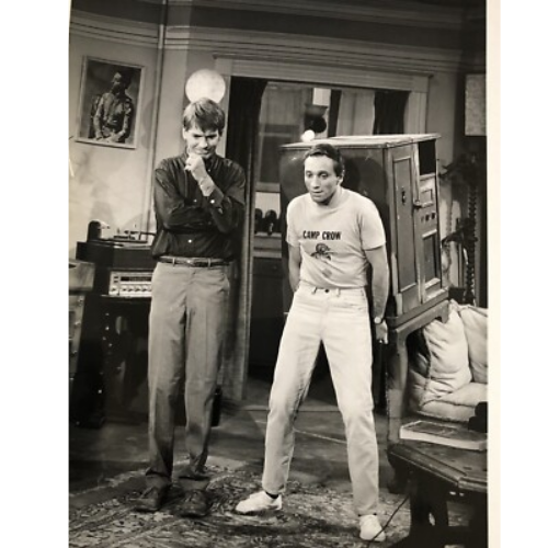 Hey Landlord 1967 TV Series DVD – 16 Episodes – Classic Comedy Collector Edition