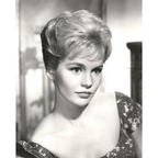 Follow The Sun (1961) Rare Classic TV 25 Episodes On DVD