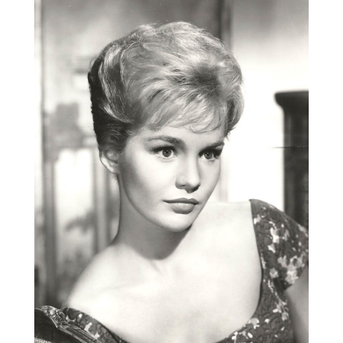 Follow The Sun (1961) Rare Classic TV 25 Episodes On DVD
