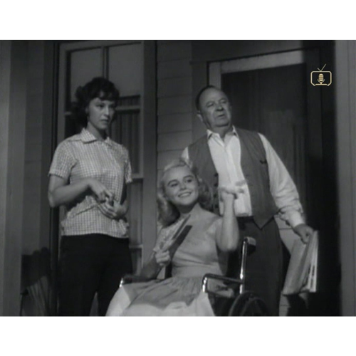 The DuPont Show with June Allyson 1959 Classic TV USB – 35 Episodes – Rare Drama