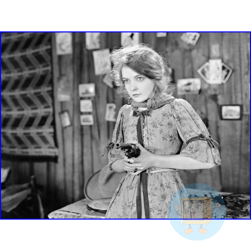 The Wind 1928 Lillian Gish Silent Drama Classic Film DVD