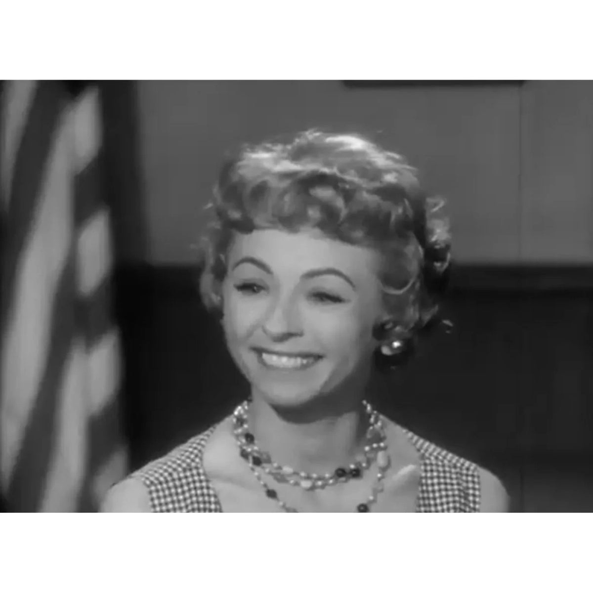 The Detectives (1959) Classic Crime TV  Collectors DVD 30 Episodes