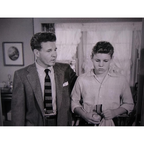 The Adventures Of Ozzie And Harriet (1952–1966) – 435 Episodes On USB Rare