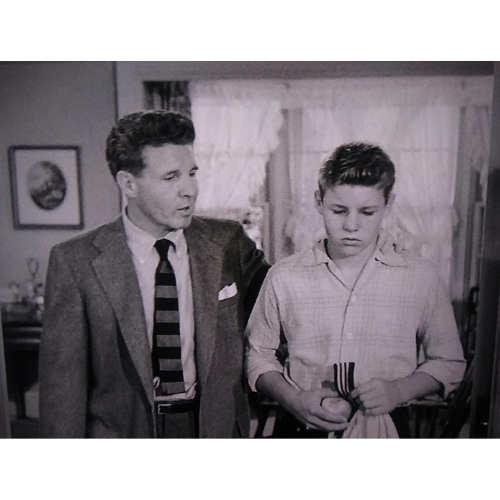 The Adventures Of Ozzie And Harriet (1952–1966) – 435 Episodes On USB Rare