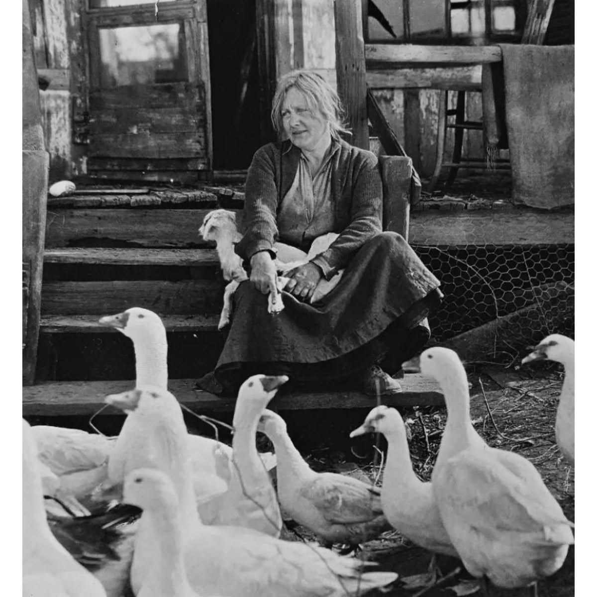 The Goose Woman (1925) Silent Crime Drama DVD Collector Edition