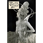The White Moth (1924) Silent Drama DVD Collector Edition