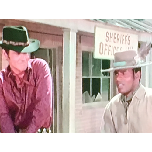 The Outcasts (1967) Classic TV DVD 26 Episodes Western Action Drama Series