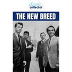 The New Breed (1961) Crime Drama TV DVD – 13 Episodes