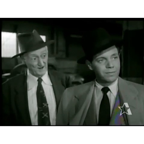 The Lone Wolf 1954 Classic TV DVD 39 Episodes Crime Mystery Series