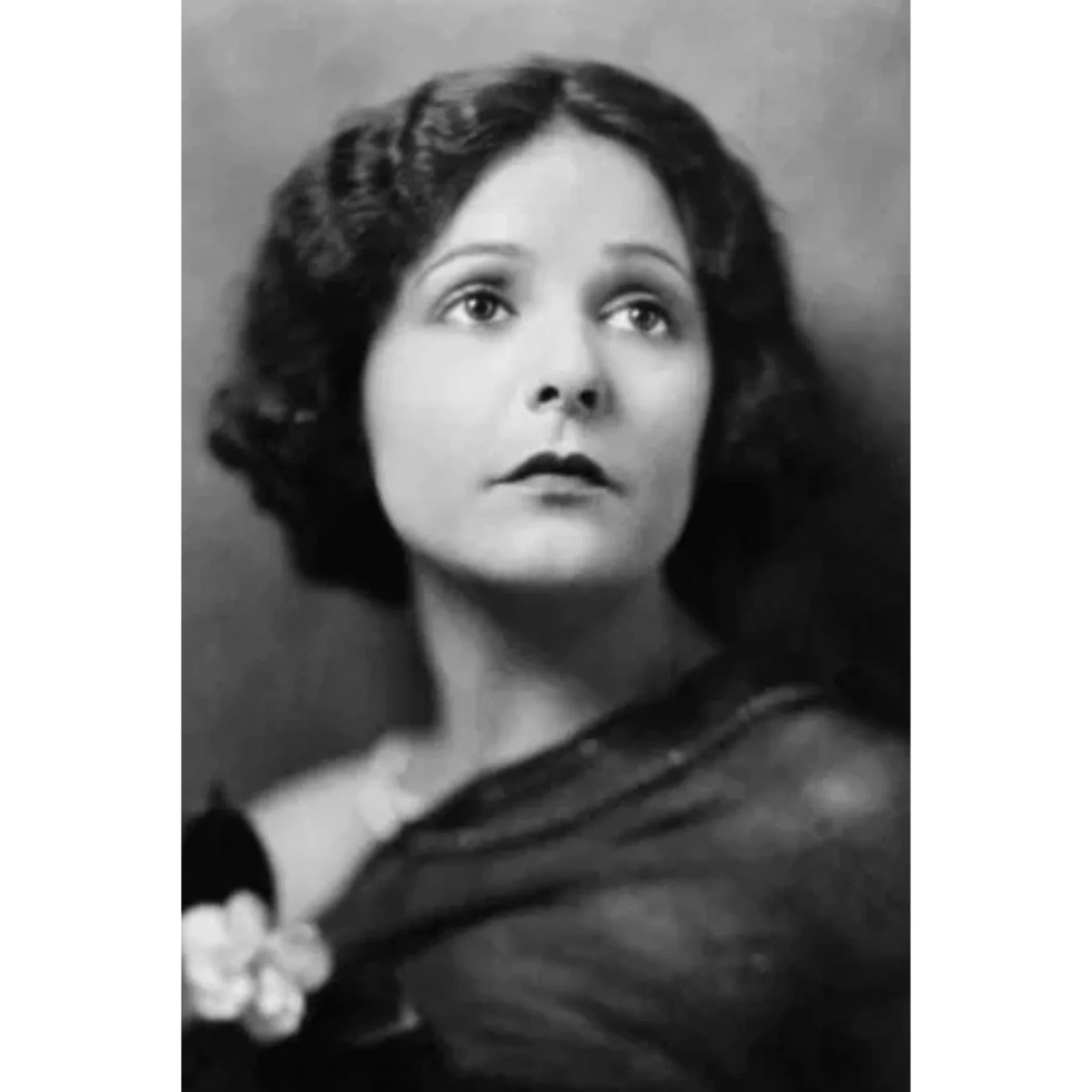 The Social Secretary (1916) Silent Comedy Drama DVD Collector Edition