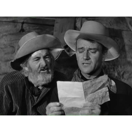 The Gabby Hayes Show 1950 Classic TV DVD – 14 Episodes – Rare Western Comedy