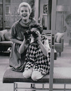 Those Whiting Girls (1955) CLASSIC TV 11 EPISODES ON DVD - Collectors Edition